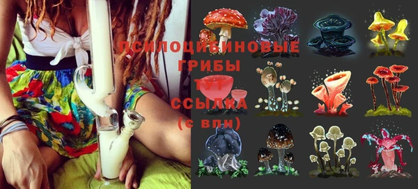 прущие грибы Алексин