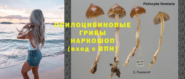 MDMA Алексеевка