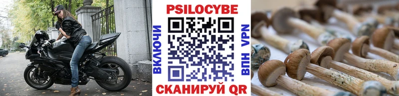 Псилоцибиновые грибы мицелий Тейково